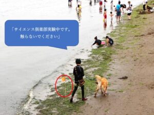 実習当日の海にオレンジ色の旗を立てました。 さて、何に使うのかな？どうなるのかな？