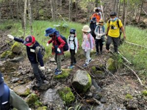 夏でも涼しい川沿いの道を採集地目指して出発！