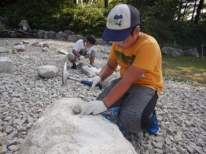 石灰岩層から化石を採集