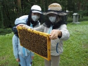 養蜂家の解説付きではちみつの採取体験。