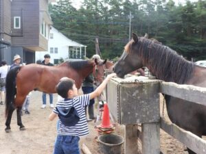 動物たちも元気そうだね。