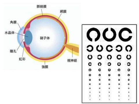 眼球とレンズの融合問題も光を攻略することで立ち向かえ！